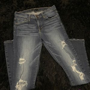 Flying Monkey Skinny Jeans